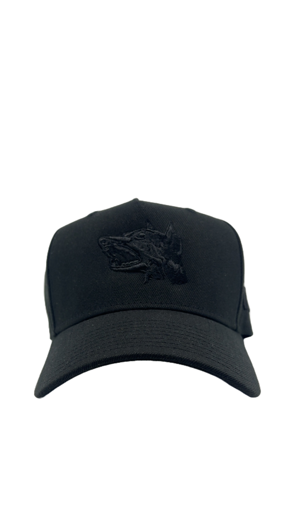 Black Out Doberman hat